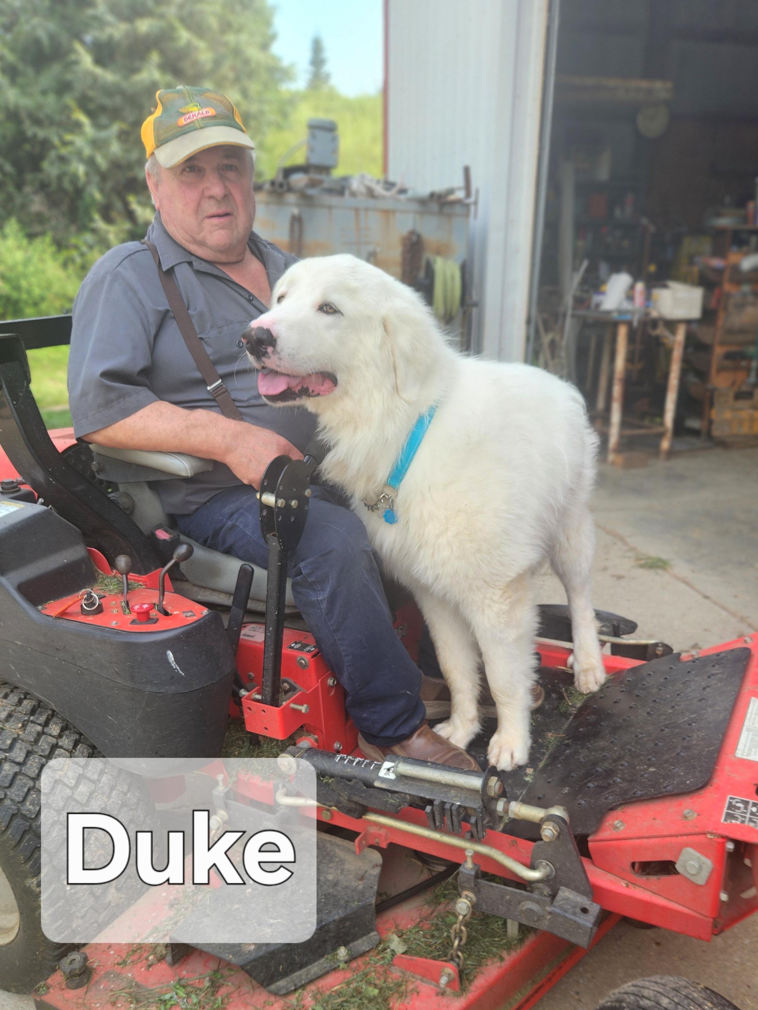 Duke photo 2