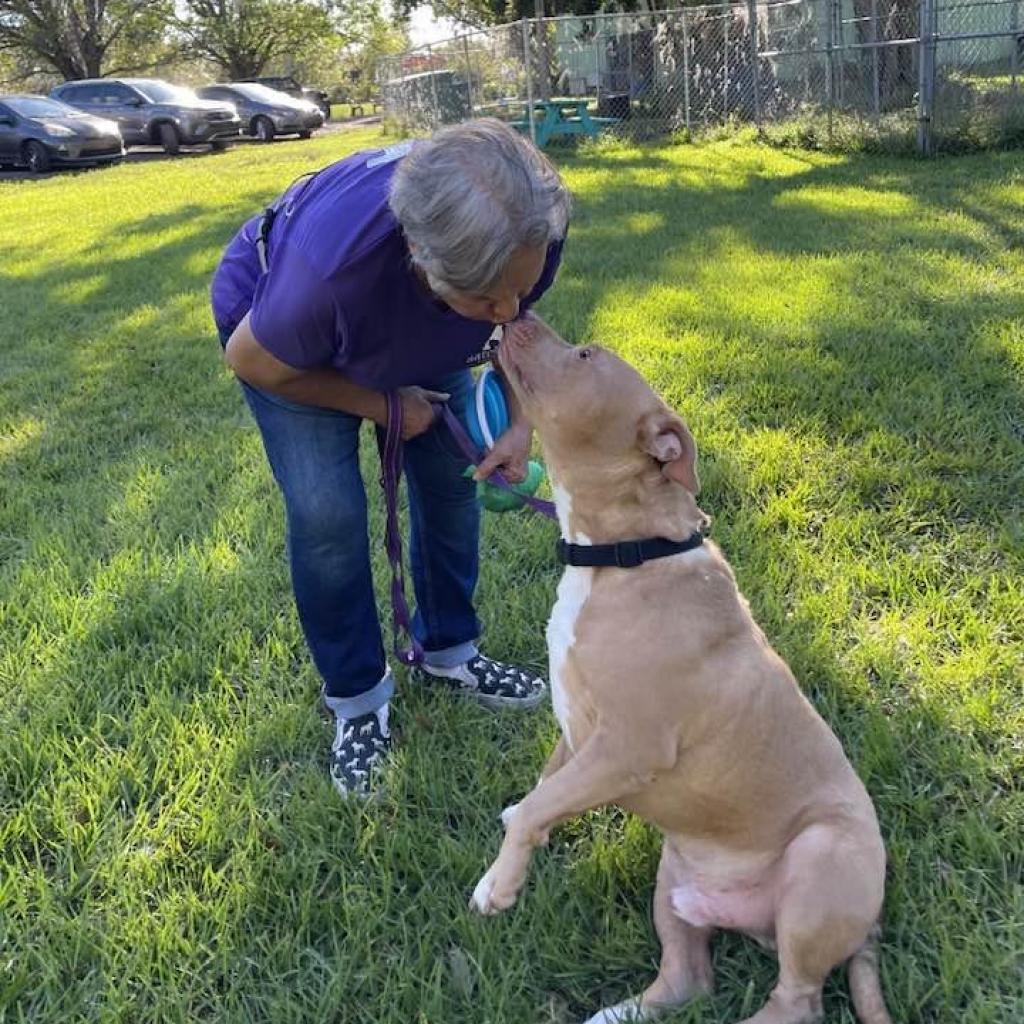 Watson — thumbnail 3