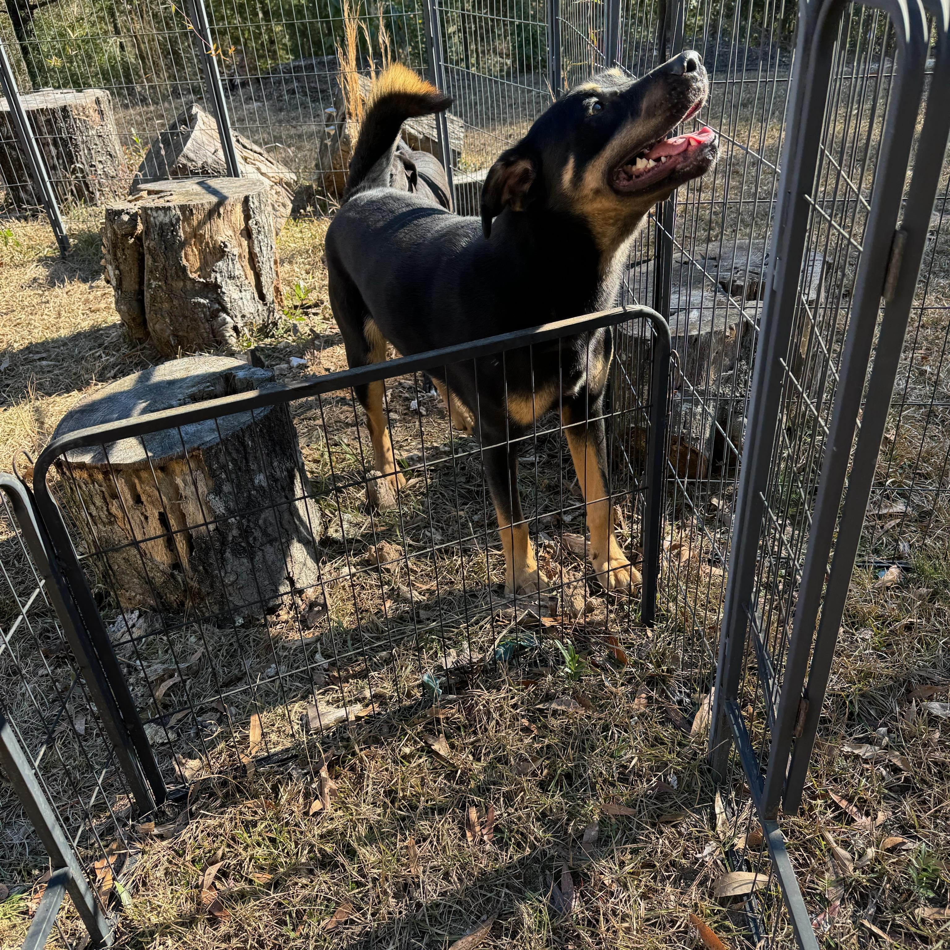ROCKY photo 2