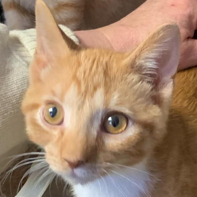 Murry — thumbnail 2