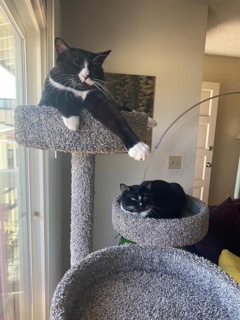 Magnus and Oden photo 2
