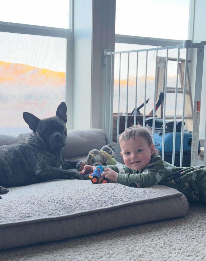 Max, a Adoptable mixed breed in Reno, NV image 6/6