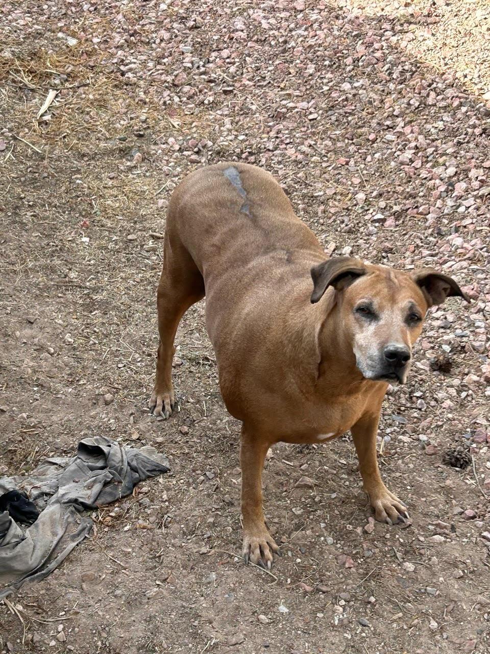 RILEY photo 3