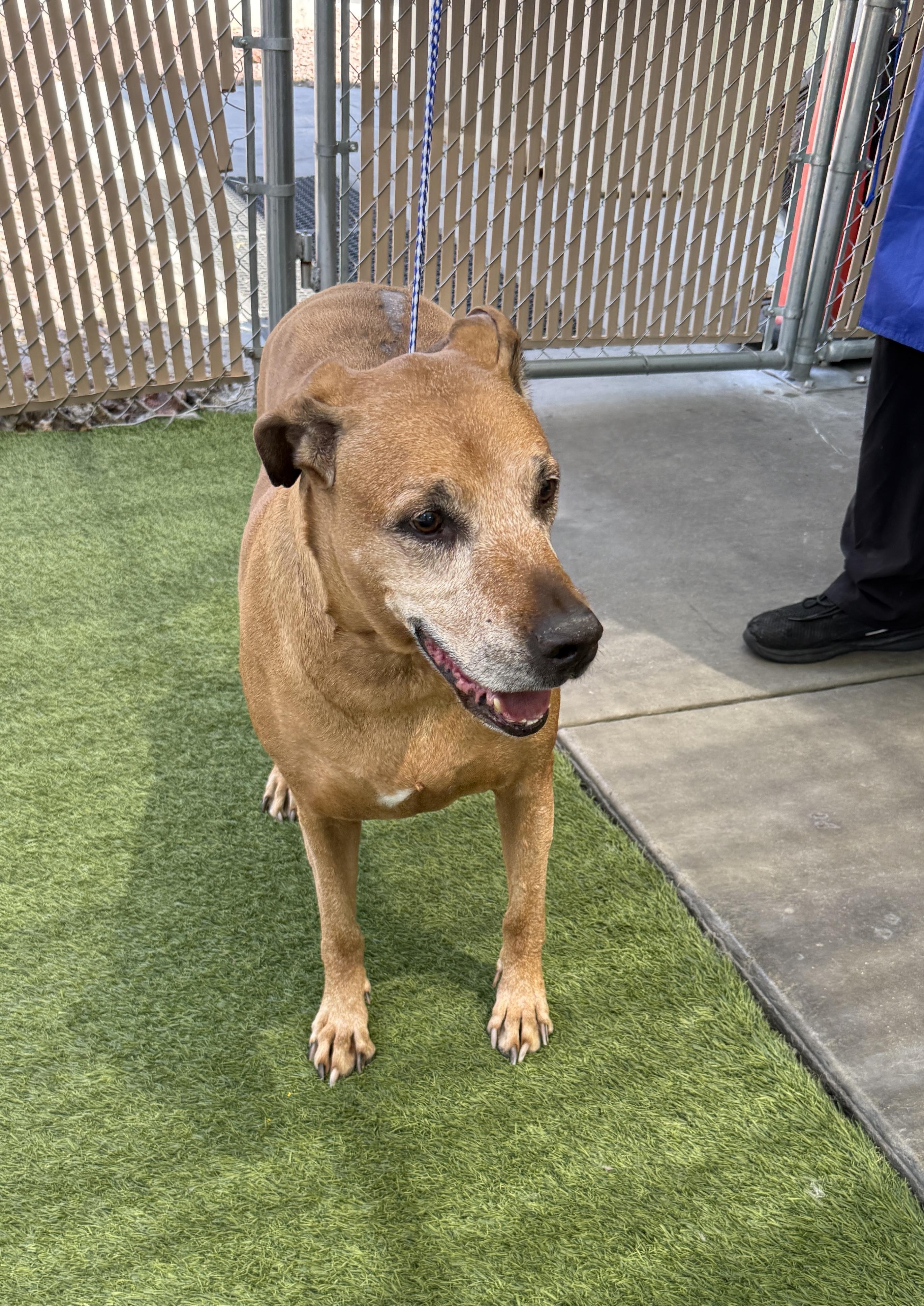 RILEY, Senior Female unknown