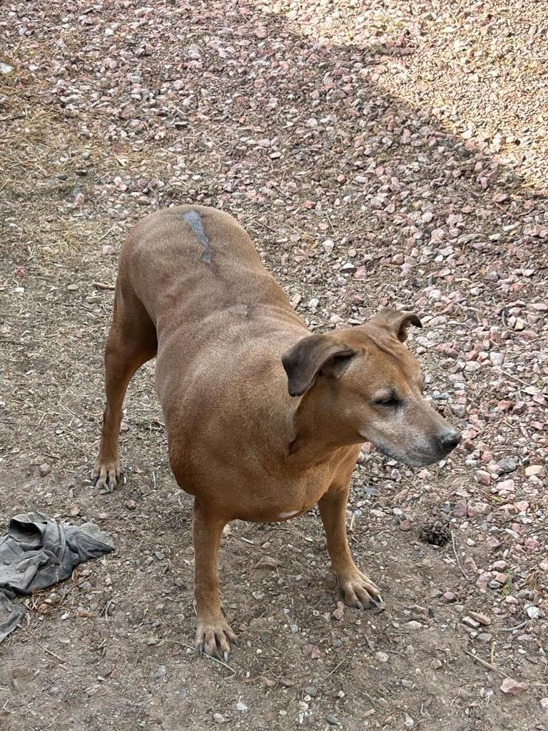 RILEY photo 4