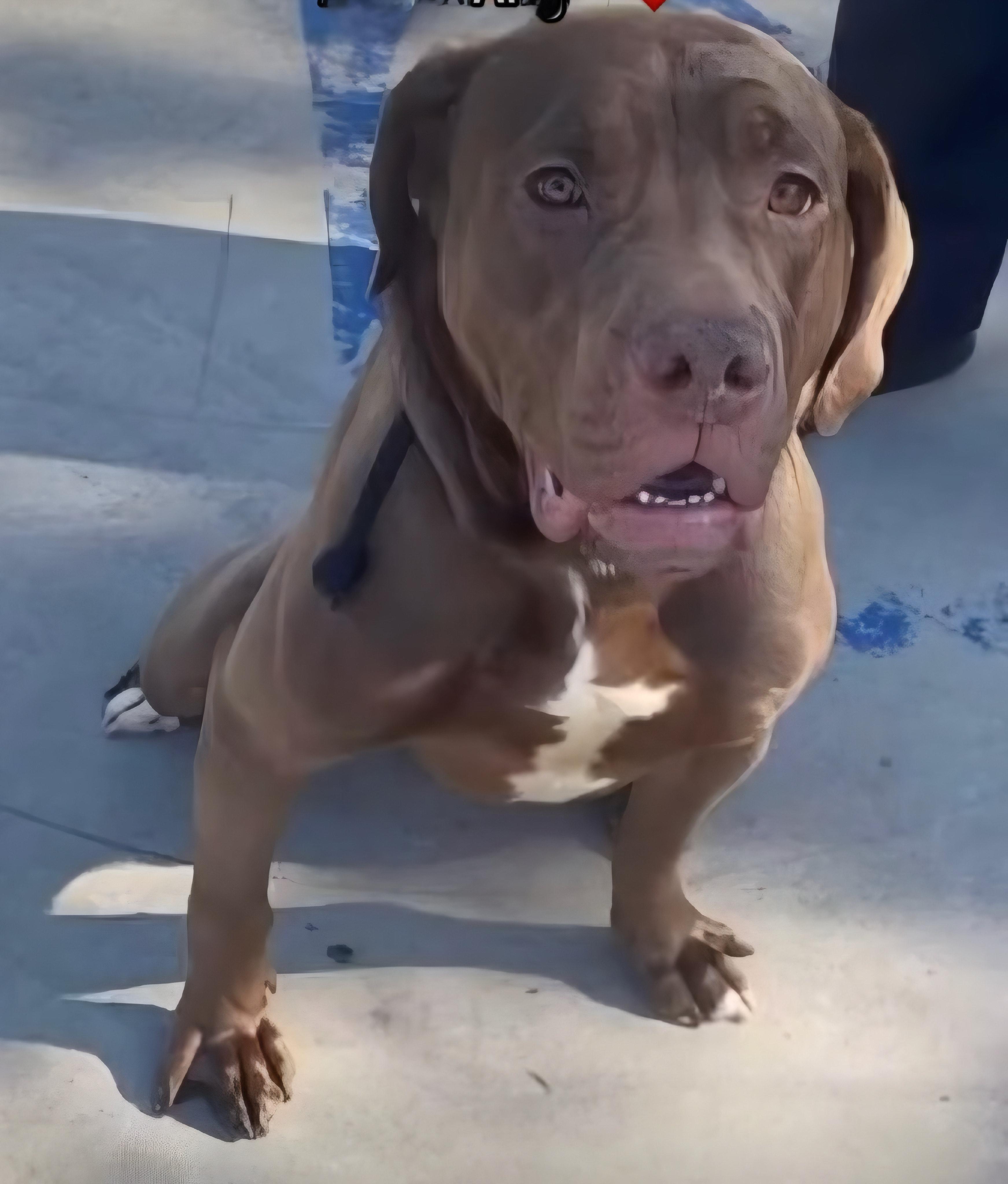 Angel-Just wants to be loved