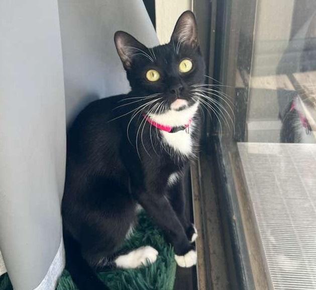 Cassie #it-takes-a-village-momma