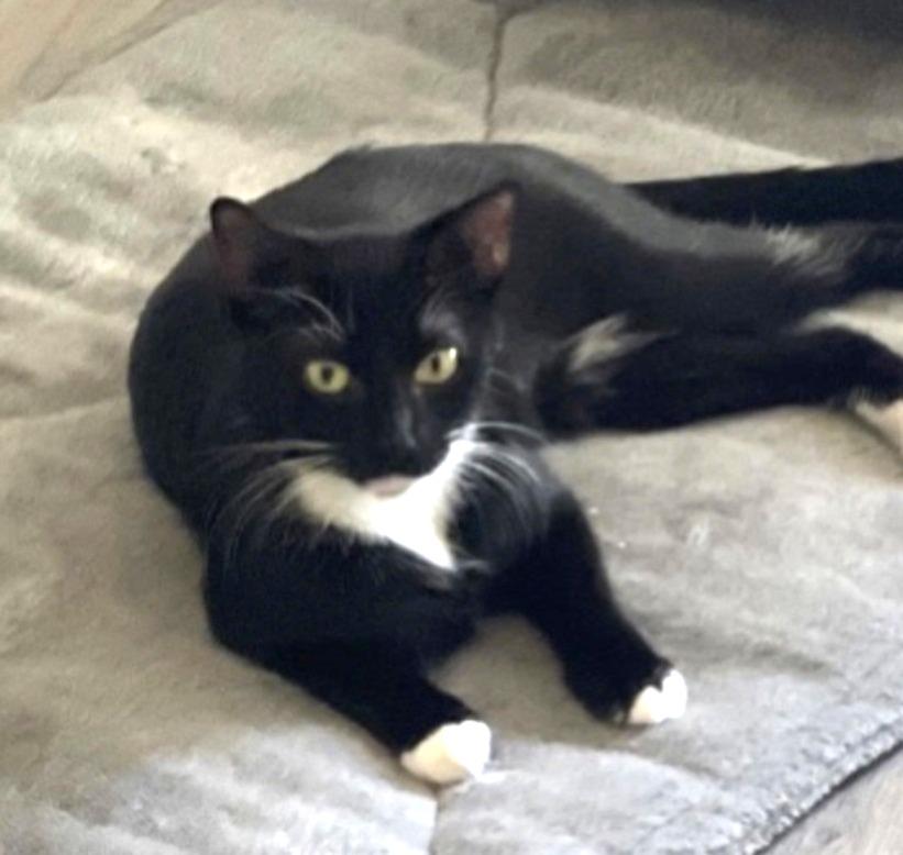 Cassie #it-takes-a-village-momma