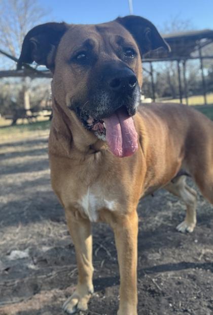 Fiona — thumbnail 2