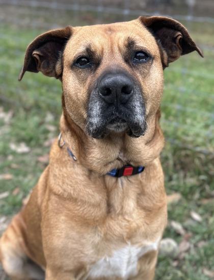 Fiona — thumbnail 3