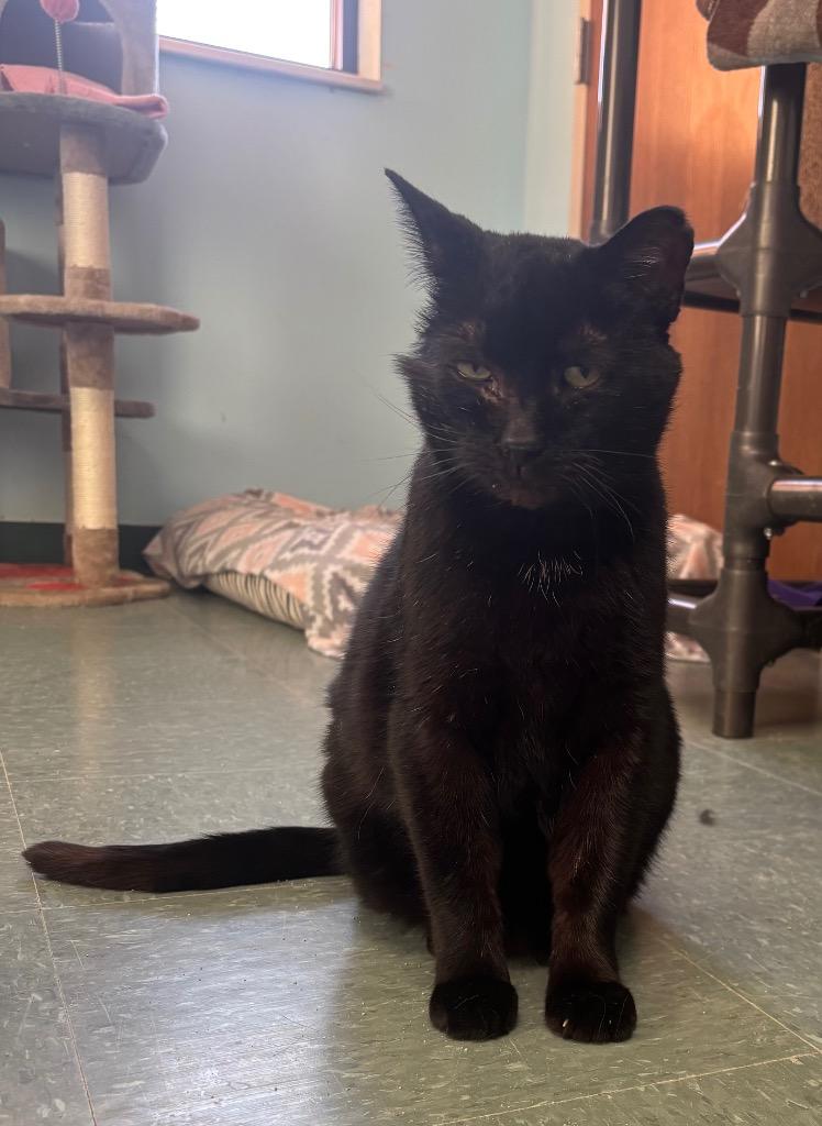 Squidward thumbnail 2