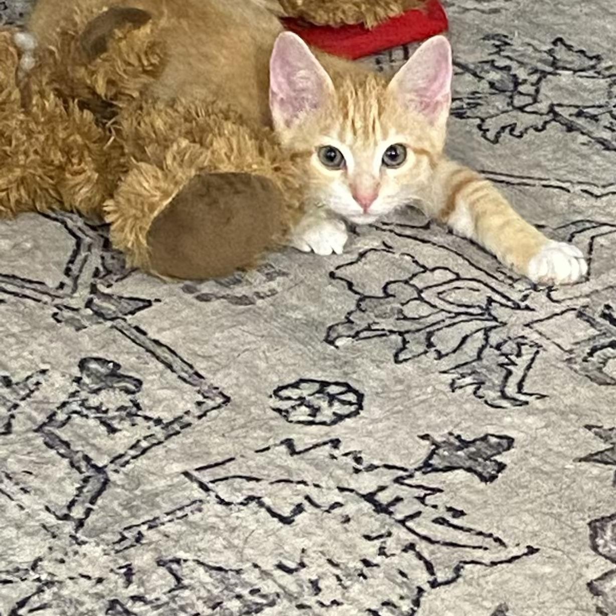 Jeremy