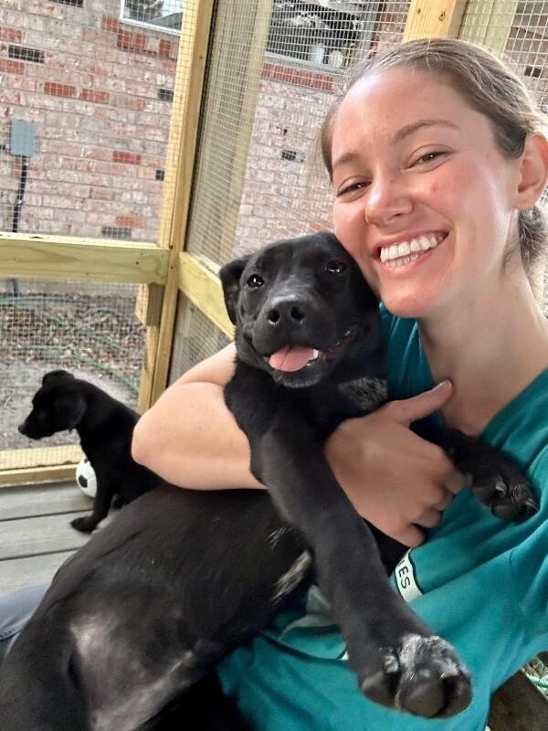 Petunia Flower — thumbnail 2