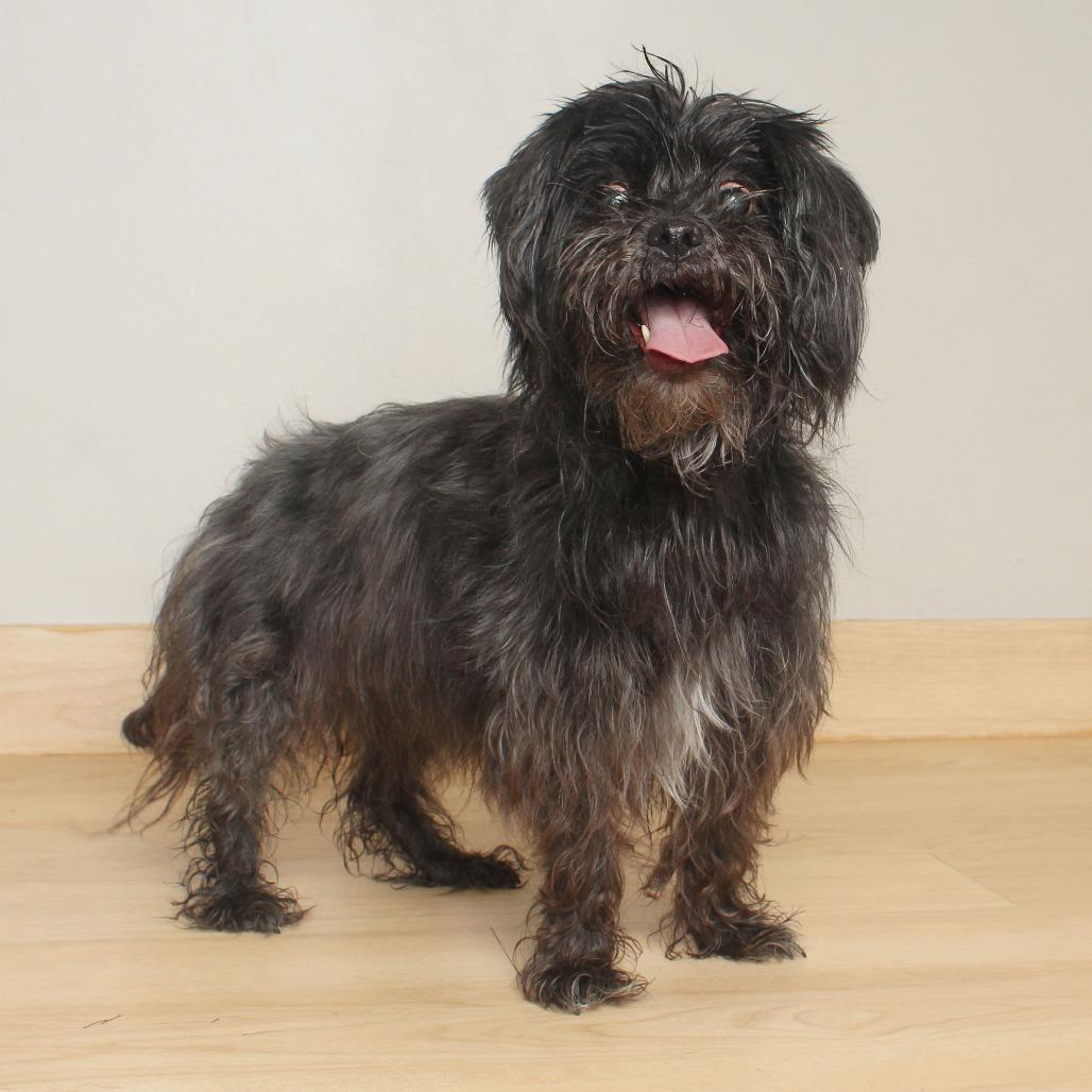 Riggy Moe D thumbnail 2