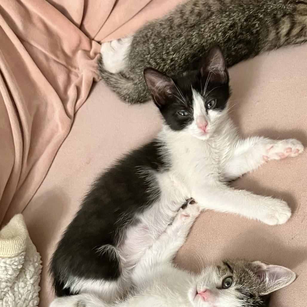 Alyssa — thumbnail 2