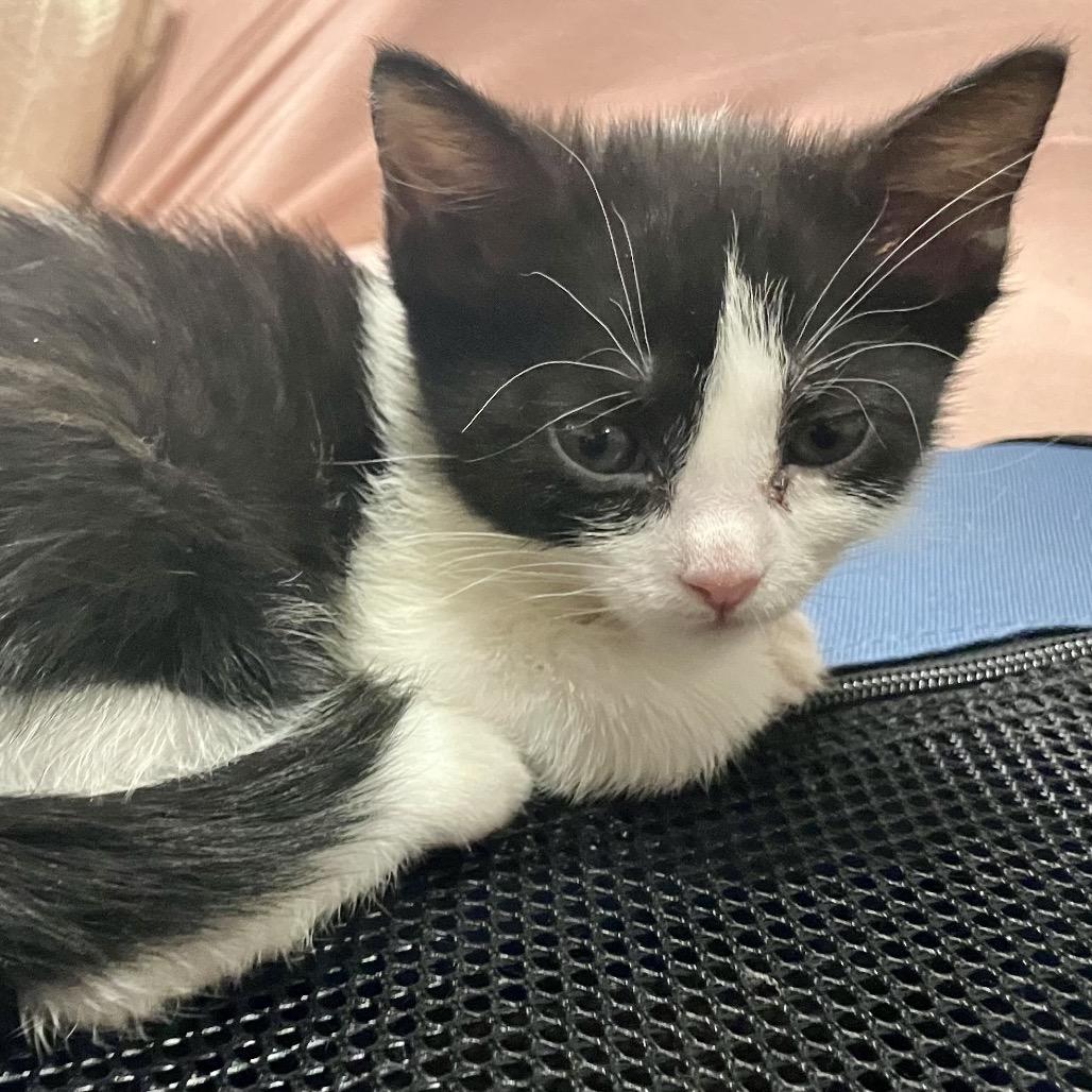 Alyssa — thumbnail 3