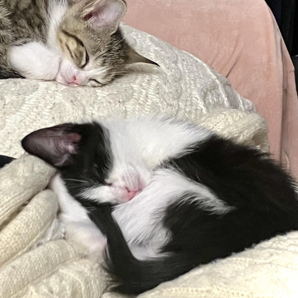 Alyssa — thumbnail 4