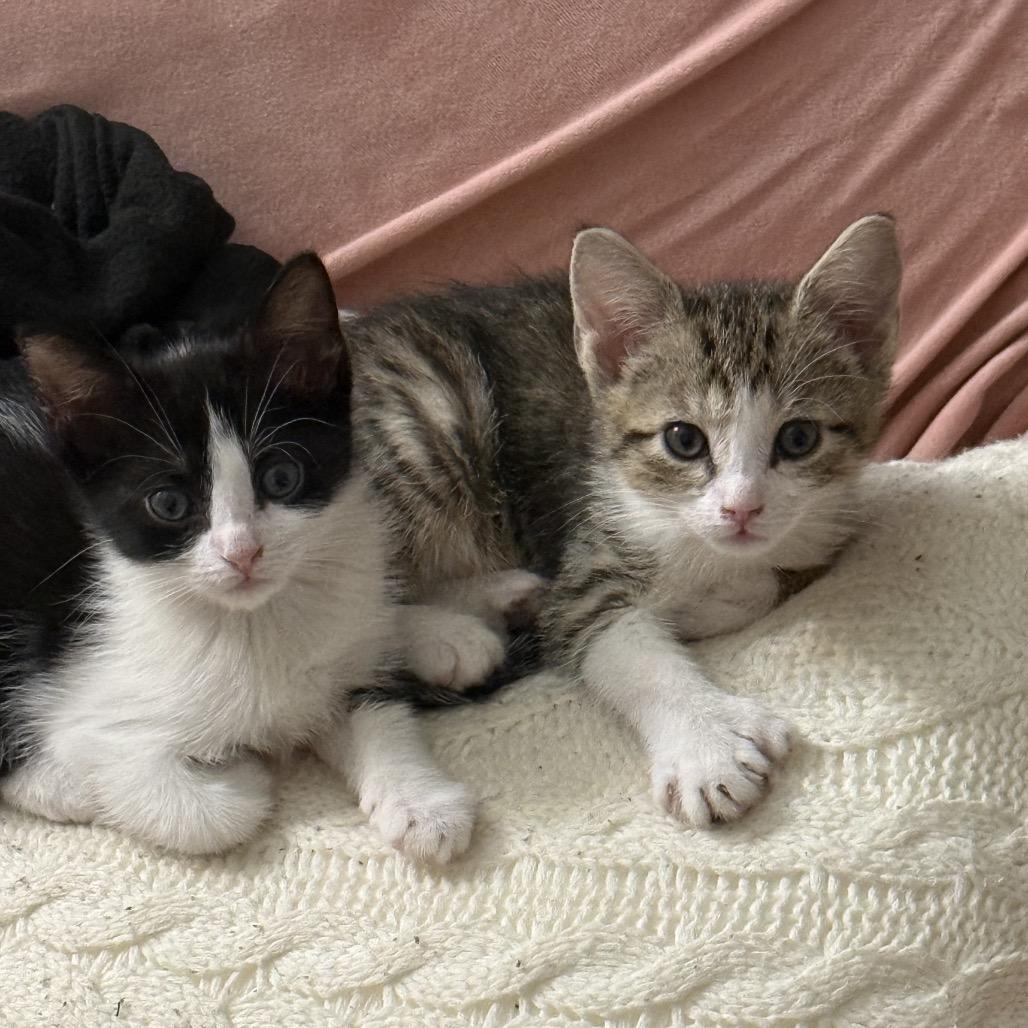 Alyssa — thumbnail 5