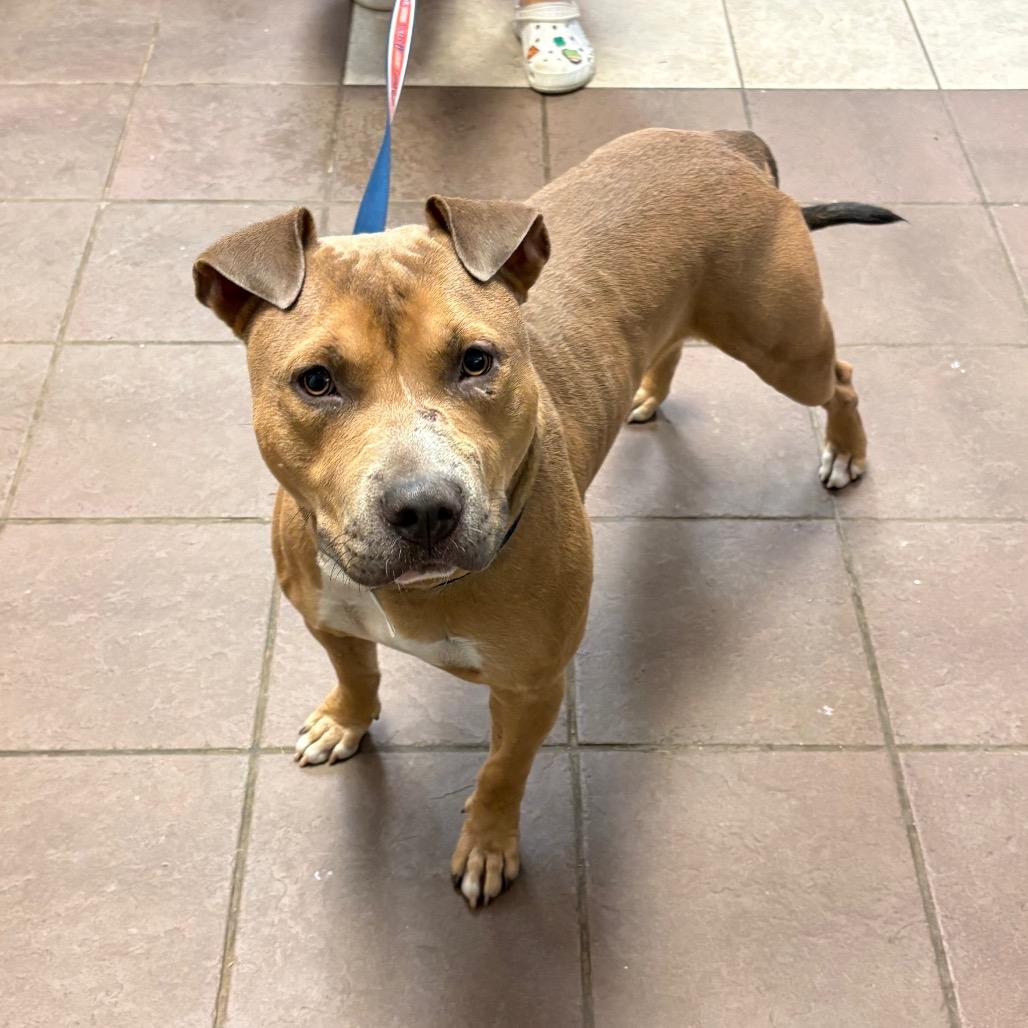 Myers 5090 — thumbnail 2