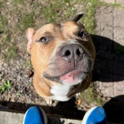 Myers 5090 — thumbnail 3