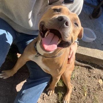 Myers 5090 — thumbnail 4