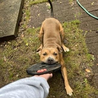 Myers 5090 — thumbnail 5