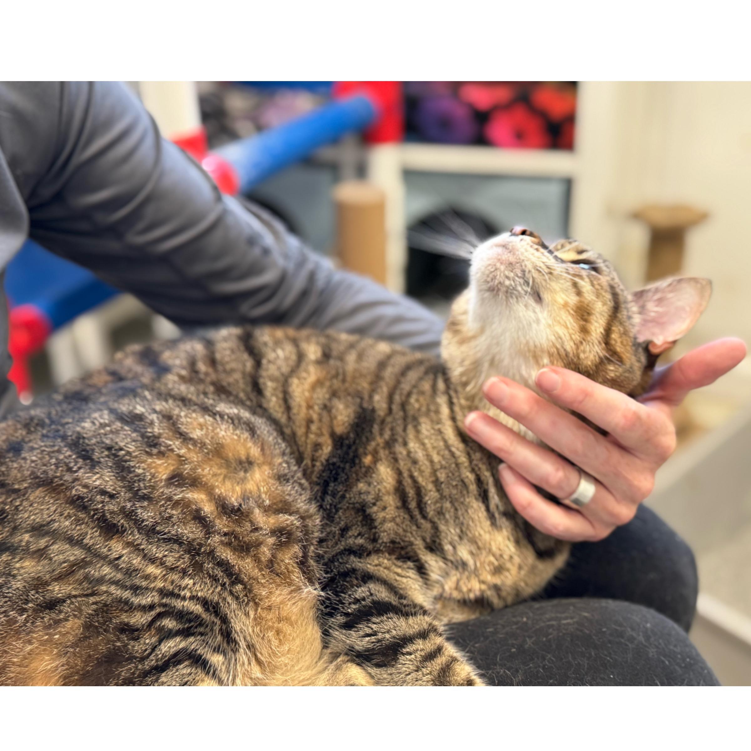 Lily — thumbnail 2