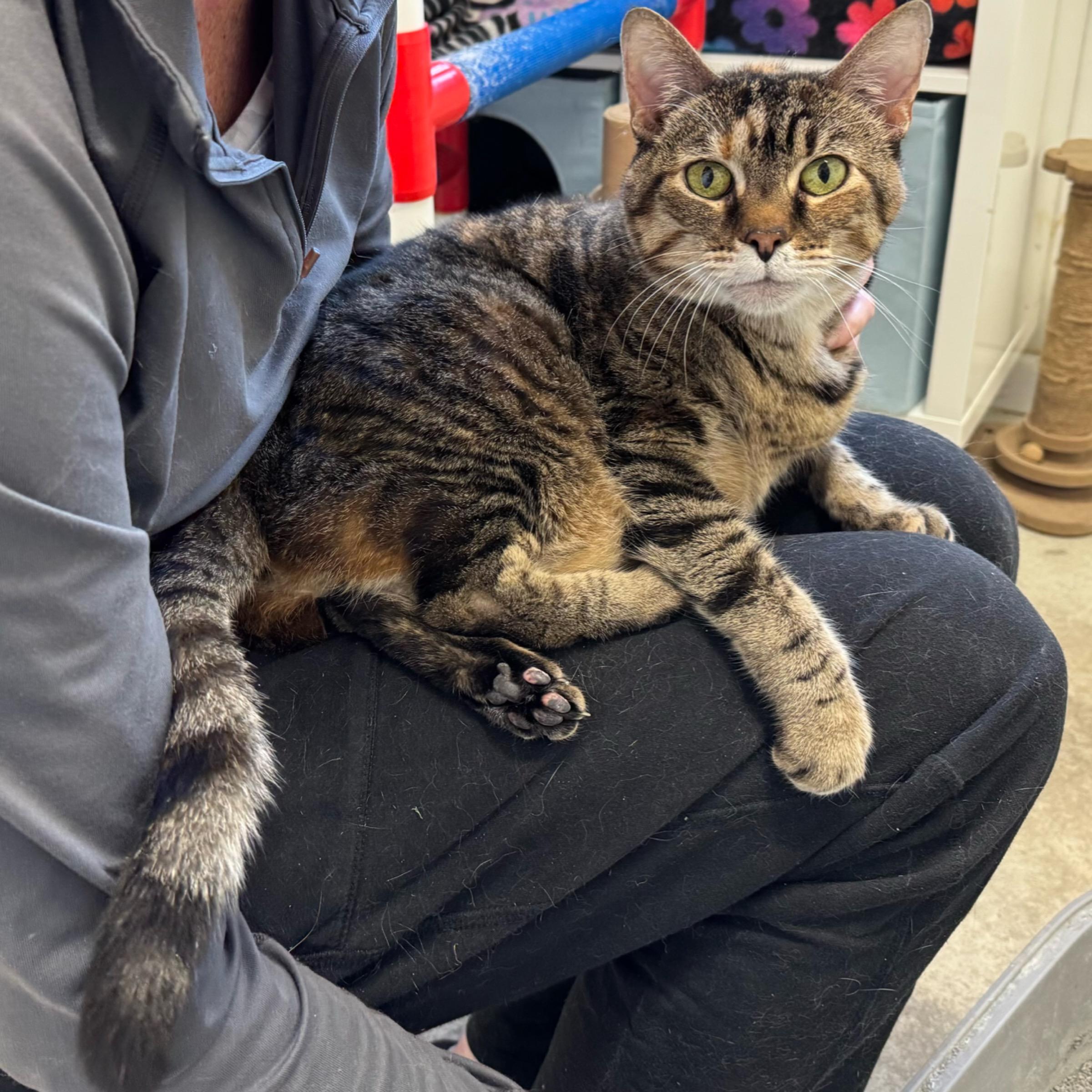 Lily — thumbnail 3