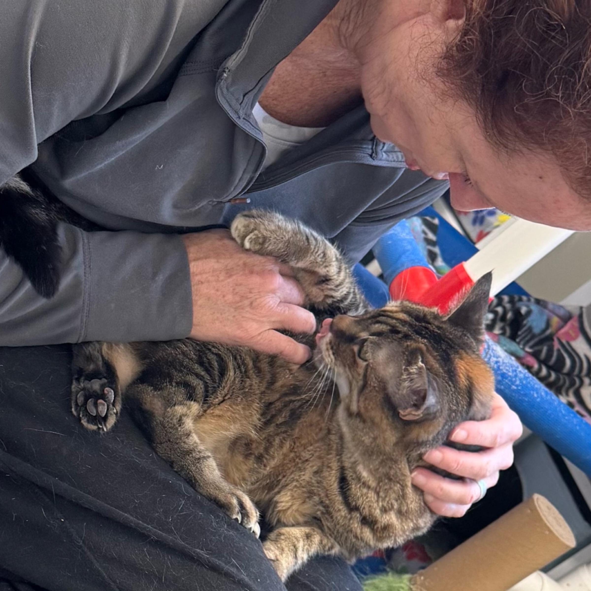 Lily — thumbnail 4