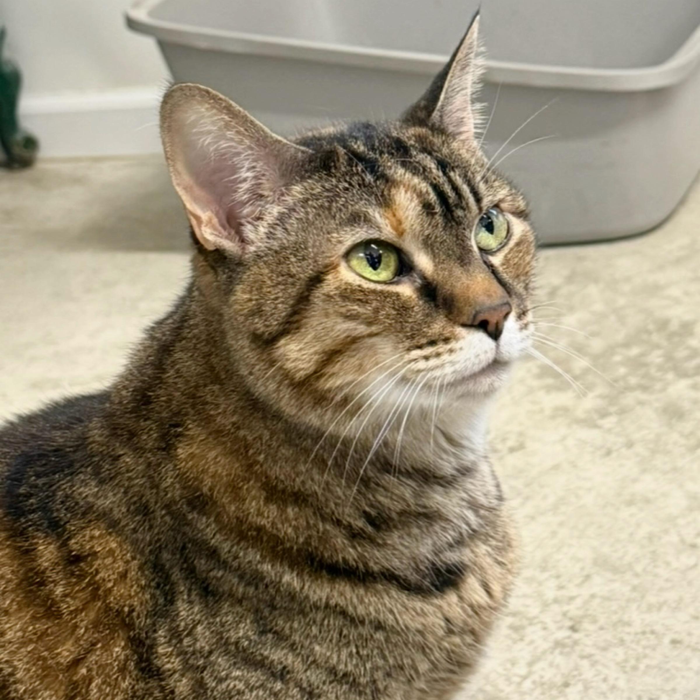 Lily — thumbnail 5