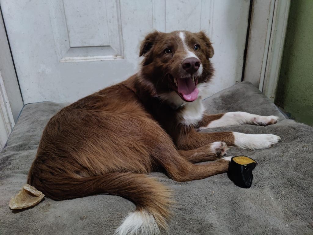 Duncan — thumbnail 6