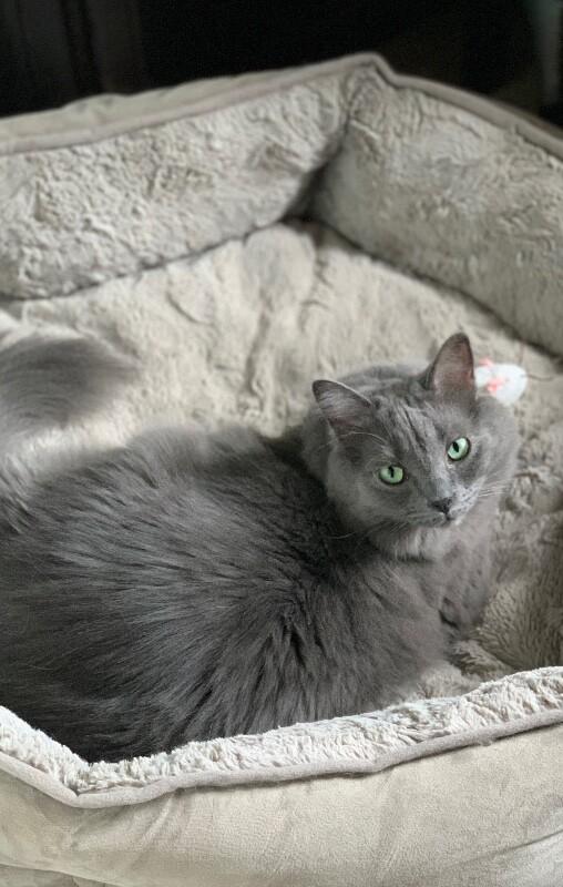 Mr. Wilson thumbnail 2