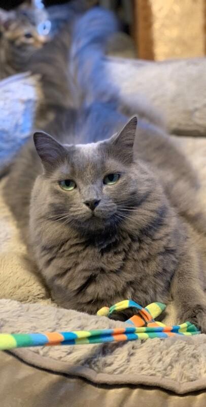 Mr. Wilson thumbnail 3