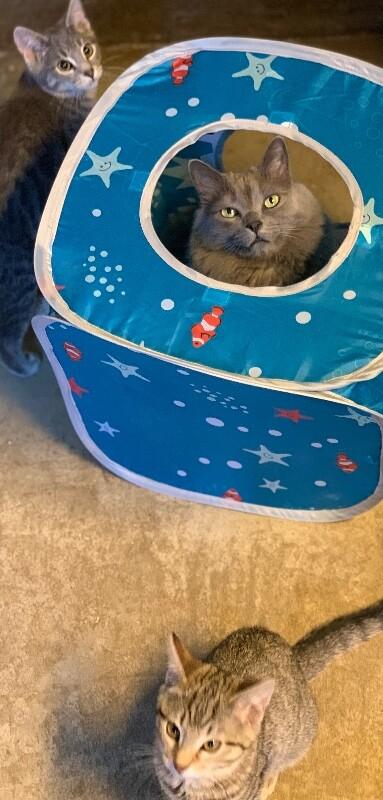 Mr. Wilson thumbnail 5