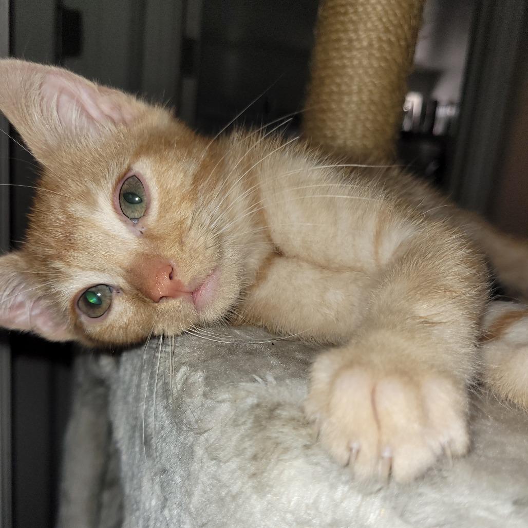 Billy Pace — thumbnail 2