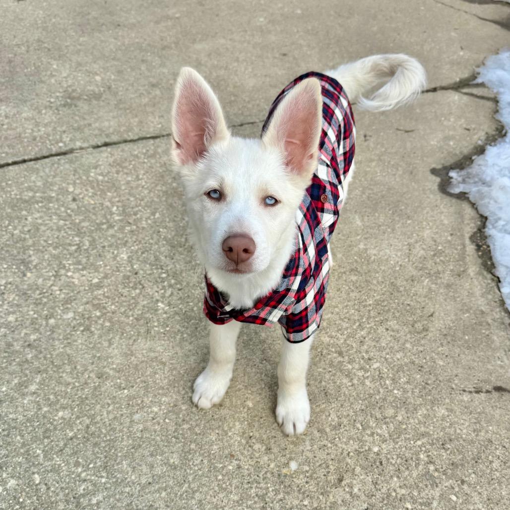 Tundra — thumbnail 6