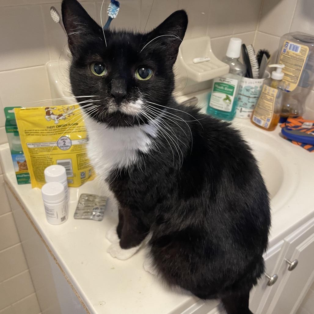 Trinity — thumbnail 2