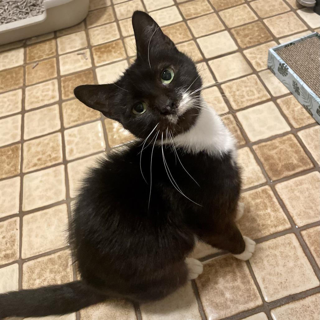 Trinity — thumbnail 3