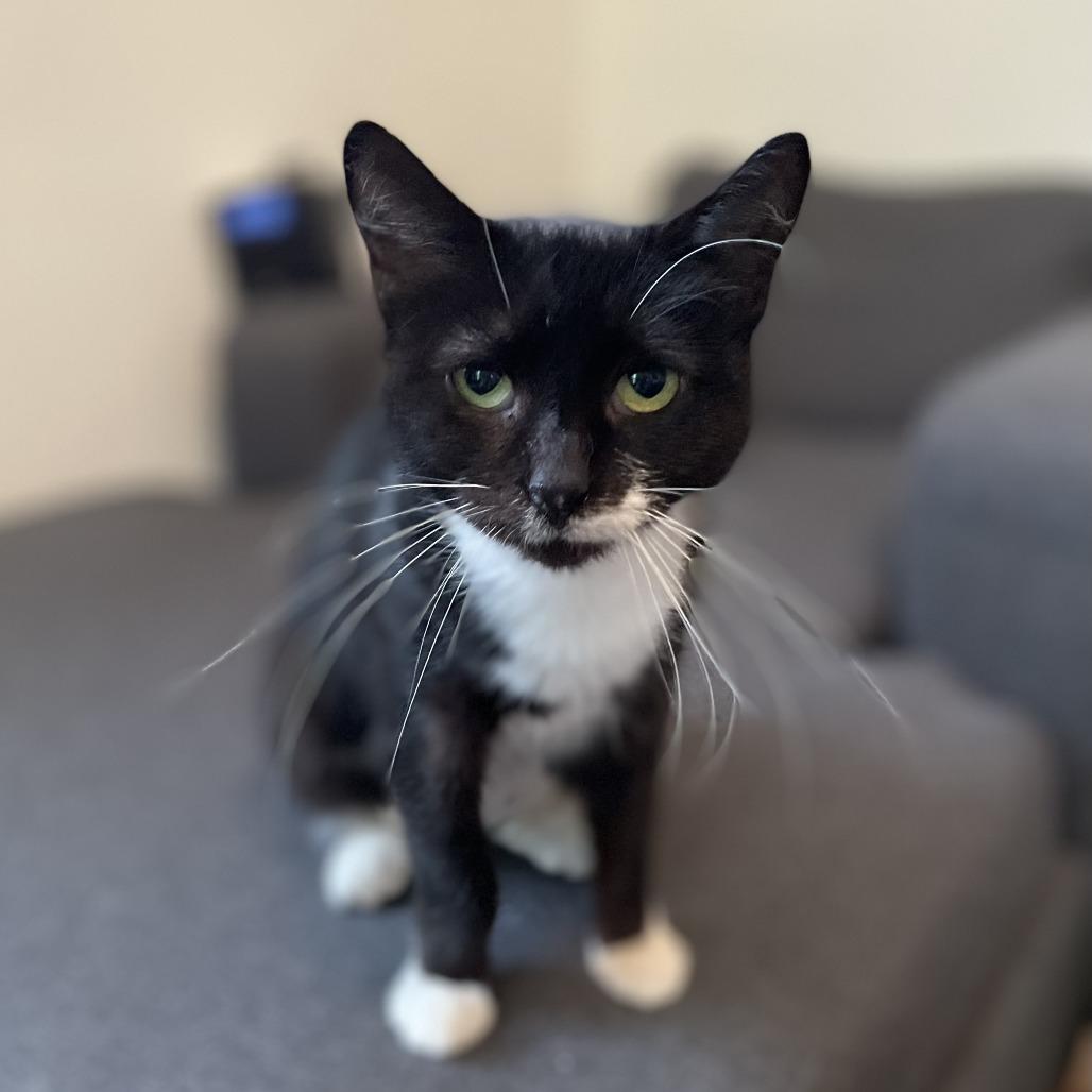 Trinity — thumbnail 4