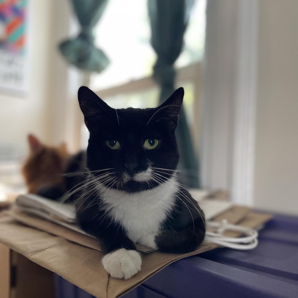 Trinity — thumbnail 5