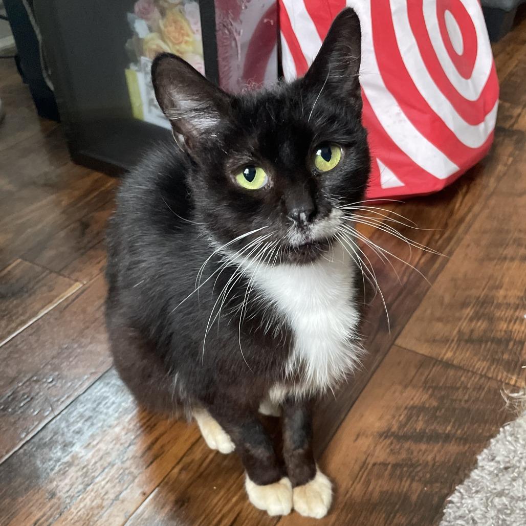 Trinity — thumbnail 6