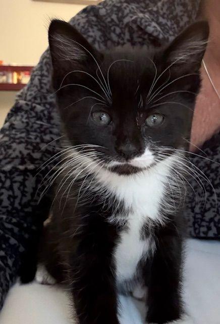 Stewart, Margo, Kevin