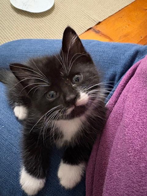 Stewart, Margo, Kevin