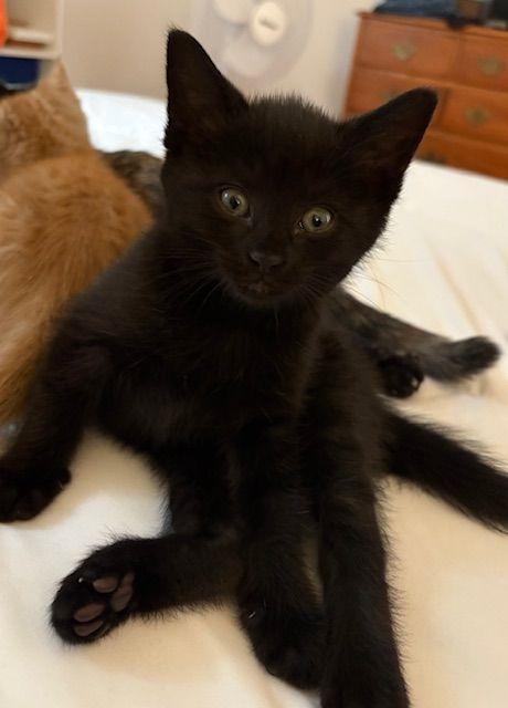 Stewart, Margo, Kevin