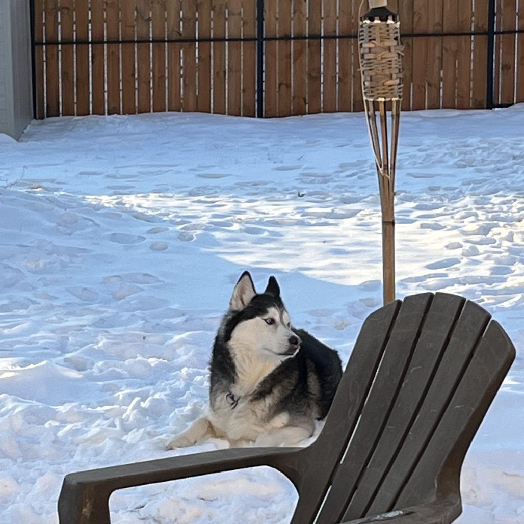 Timmy - Home to Home — thumbnail 3