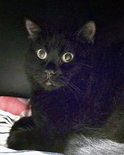 Miracle — thumbnail 2