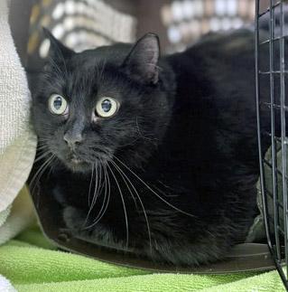 Miracle — thumbnail 3