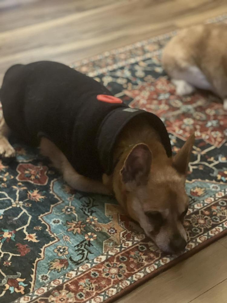 Hunter — thumbnail 2