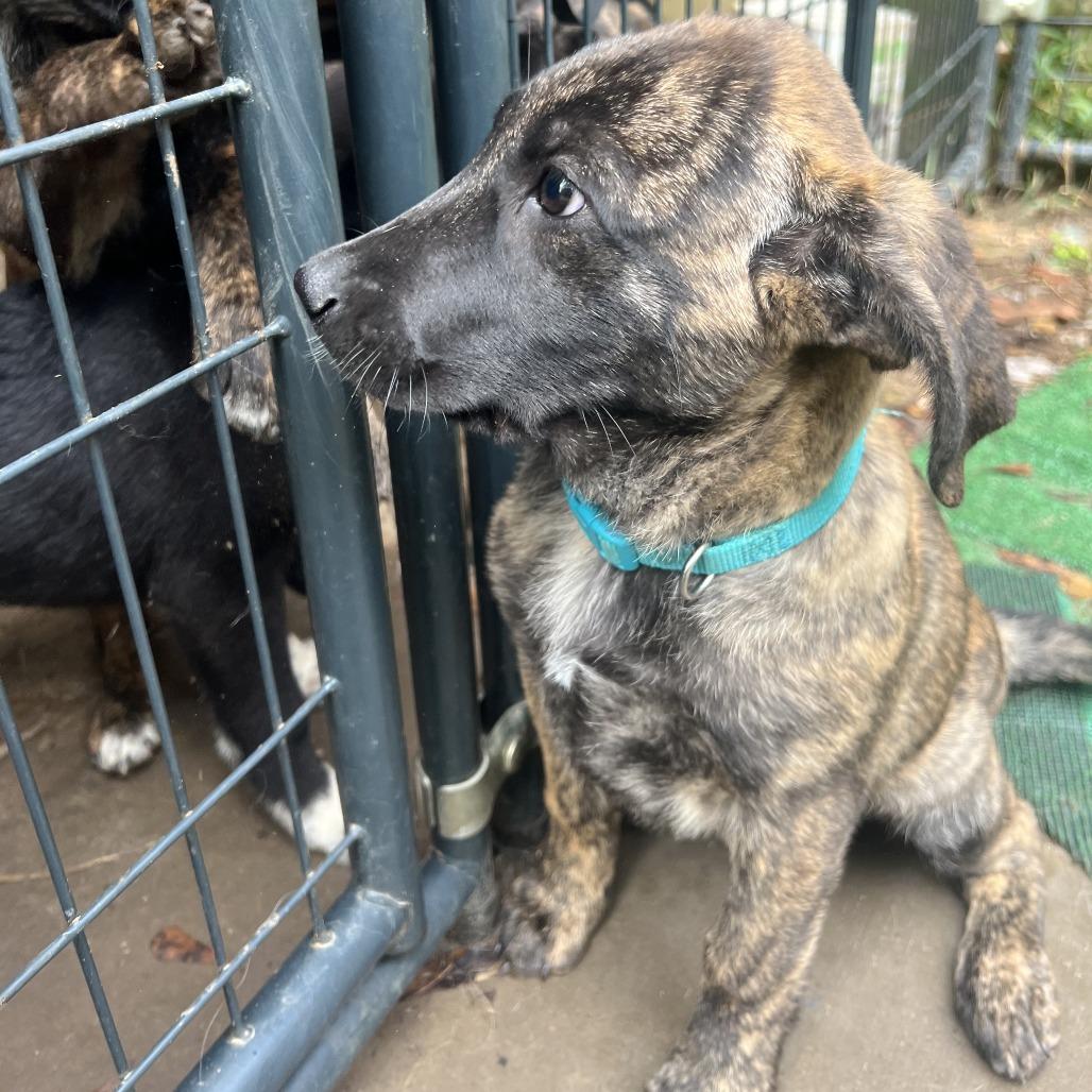 Tilley — thumbnail 2