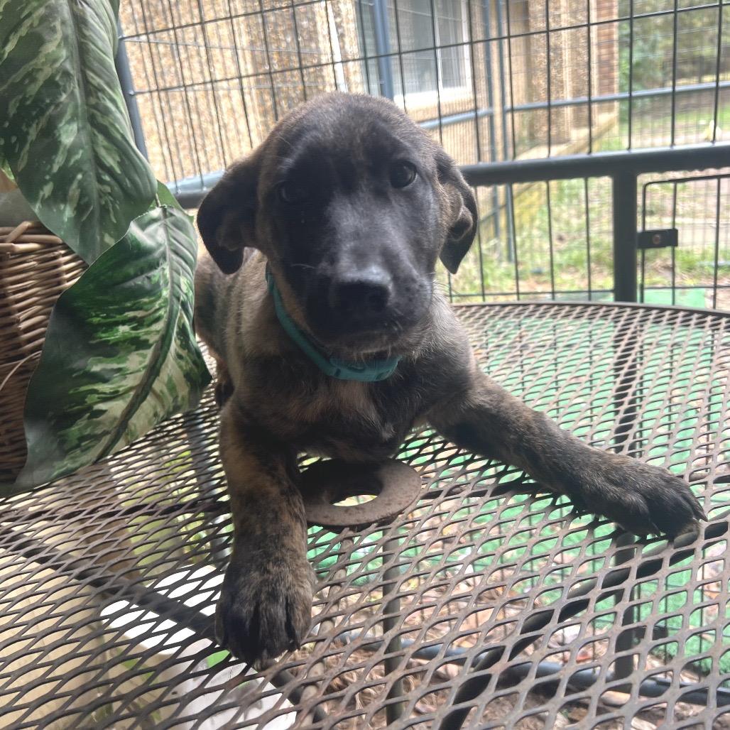 Tilley — thumbnail 4